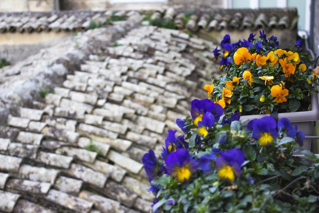 Le Violette Villa Matera Exterior photo